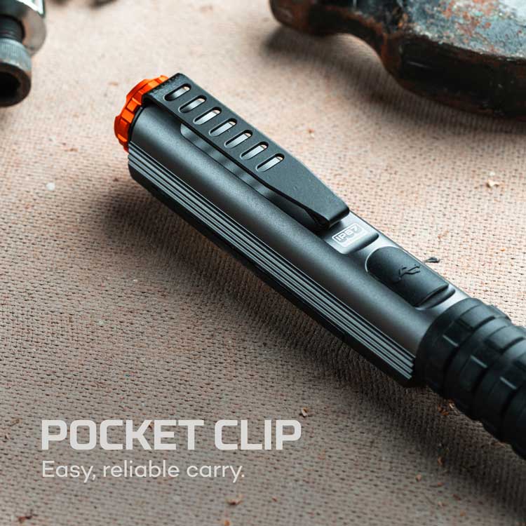 BIG LARRY 600 Rechargeable Work light