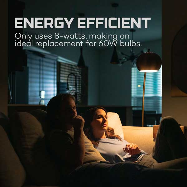 BLACKOUT BACKUP - Emergency Bulb ( NEB-ARE-0003 )
